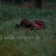 Arbeitsfoto Brigitta(1153)