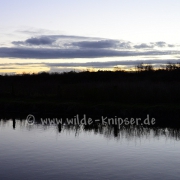 Niers am Abend (3498)