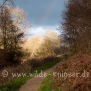 Regenbogen am Nierswanderweg (1517)